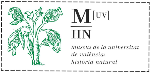 Museu de la Universitat de València d'Historia Natural